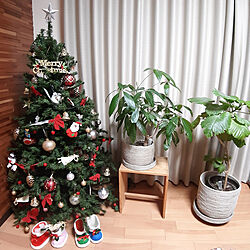 リビング/クリスマス/クリスマスツリー150cm/クリスマスディスプレイのインテリア実例 - 2022-11-17 20:39:25