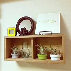 棚/リサラーソン/無印良品/エアプランツ/IKEAのインテリア実例 - 2013-05-10 19:28:28