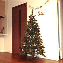 リビング/クリスマスツリーのインテリア実例 - 2013-11-26 21:27:48