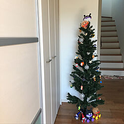 玄関/入り口/クリスマス/クリスマスツリー150cm/アンパンマンのツリーのインテリア実例 - 2018-12-20 12:55:24