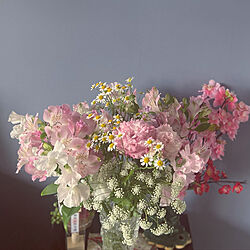 春の花たち/感謝を忘れずに/花束をもらいました/部屋全体のインテリア実例 - 2023-02-07 08:41:32