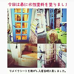 玄関/入り口/猫部/猫大好き隊/生活感のある部屋/DIY...などのインテリア実例 - 2017-03-22 16:55:32