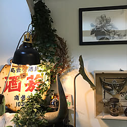 観葉植物/照明/雑貨/DIY/北欧...などのインテリア実例 - 2019-03-15 02:51:05