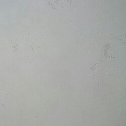 壁/天井/メインの壁紙、天井/マンションリノベ/リノベーション/中古を買ってリノベーション...などのインテリア実例 - 2016-02-03 16:36:03