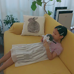 リビング/ニトリ/ソファーカバー/三人家族/観葉植物...などのインテリア実例 - 2020-05-24 16:23:19