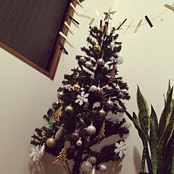 壁/天井/IKEA/ニトリのクリスマス飾り/クリスマス/観葉植物のインテリア実例 - 2014-11-14 08:01:46