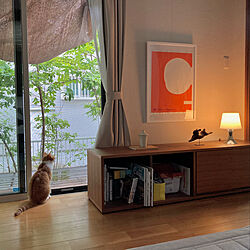 猫と暮らす家/塗壁/自然素材の家/無印良品/IKEA...などのインテリア実例 - 2022-10-02 23:35:31