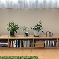 観葉植物/IKEA/リビングのインテリア実例 - 2022-05-16 20:13:04