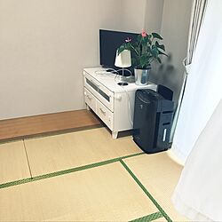 部屋全体/観葉植物/ニトリのインテリア実例 - 2017-04-11 14:50:59