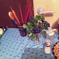 キッチン/植物/食器/花瓶のインテリア実例 - 2012-12-03 21:58:05