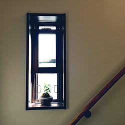 壁/天井/階段の窓/アイビー/観葉植物のインテリア実例 - 2018-08-11 08:49:18