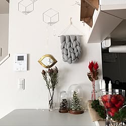 机/ガラスドーム/IKEA/serax/ケイトウ...などのインテリア実例 - 2016-12-12 11:47:21