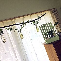 ベッド周り/窓/観葉植物/DIYのインテリア実例 - 2016-05-12 18:12:34