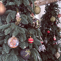 クリスマス/Xmasツリー/210cm クリスマスツリー/2022.クリスマスツリー/オーナメント...などのインテリア実例 - 2022-11-07 22:40:05