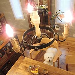 キッチン/照明/スウェーデンハウス /ライト照明/動物と暮らす...などのインテリア実例 - 2016-06-16 19:16:46