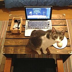 机/DIY/すのこ/猫/Macのインテリア実例 - 2013-08-04 22:10:31