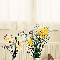 花のある暮らし/花瓶/3COINS/スリーコインズのインテリア実例 - 2022-05-05 14:29:41