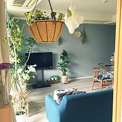 部屋全体/マンション暮らし/Yチェアー/観葉植物/ブルーグレーの壁...などのインテリア実例 - 2016-08-13 11:15:40