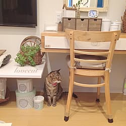 机/muy mucho/NO CAT,NO LIFE❤️/ねこ部/salut!...などのインテリア実例 - 2016-08-14 10:10:23