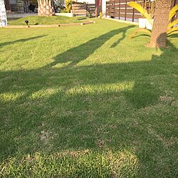 部屋全体/芝生の庭/セリア/ウッドデッキ/カリフォルニアスタイルのインテリア実例 - 2017-06-11 17:50:41