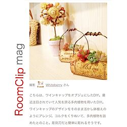 バス/トイレ/RoomClip mag/ハンドメイド/多肉植物/コルクのインテリア実例 - 2017-02-12 09:04:12