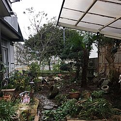 部屋全体/garden/庭/Before/草刈りのインテリア実例 - 2017-02-19 14:41:23