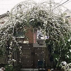 玄関/入り口/雪のインテリア実例 - 2016-11-24 09:30:03
