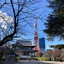 東京タワー/秋晴れのいいお天気☀︎/部屋全体のインテリア実例 - 2021-12-01 13:55:06