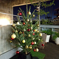 玄関/入り口/IKEA/クリスマス/クリスマスツリー/IKEAもみの木...などのインテリア実例 - 2021-11-27 17:35:00