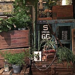 vintage wooden crate/ポリシャス/ユーフォルビア/インドアグリーン/グリーンのある暮らし...などのインテリア実例 - 2016-11-08 05:29:26