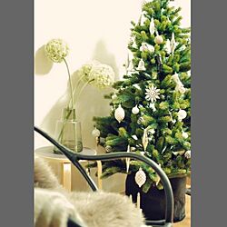 リビング/IKEA/ダイソー/ニトリ/クリスマスツリー...などのインテリア実例 - 2015-11-20 15:59:50