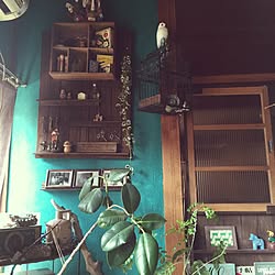 壁/天井/DIY/観葉植物のインテリア実例 - 2016-04-13 20:45:54