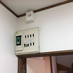 ワトコオイル/SPF材/DIY/壁/天井のインテリア実例 - 2019-11-18 19:57:15