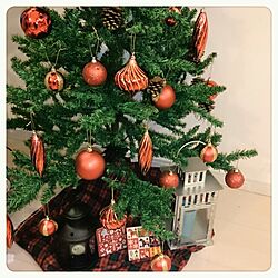 リビング/クリスマスツリーのインテリア実例 - 2013-11-06 19:32:03