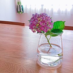 机/花のある暮らし/紫陽花のインテリア実例 - 2016-06-15 19:57:17