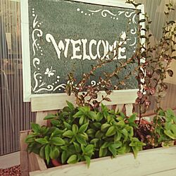 玄関/入り口/観葉植物のインテリア実例 - 2016-09-08 18:05:00