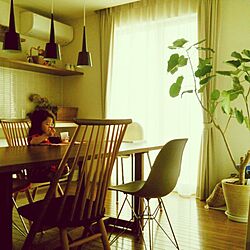 部屋全体/植物/ウンベラータ/照明/IKEA...などのインテリア実例 - 2014-08-15 08:02:46