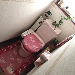 バス/トイレ/ねこ部/植物/すのこDIY/無駄に長いトイレのインテリア実例 - 2014-02-15 14:43:32