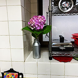 庭の紫陽花を飾って/紫陽花/BOSS缶コーヒーを塗装/BOSS缶コーヒー/ステンレス製鍋...などのインテリア実例 - 2020-06-29 21:10:48