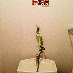 バス/トイレ/植物/IKEA/一人暮らし/観葉植物...などのインテリア実例 - 2014-10-03 00:54:43