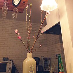 キッチン/桃の花/ひな祭りのインテリア実例 - 2016-03-03 21:55:37