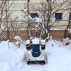 バス/トイレ/2019年1月9日/除雪機ありがとう♡/冬の庭/北海道...などのインテリア実例 - 2019-01-09 07:32:09