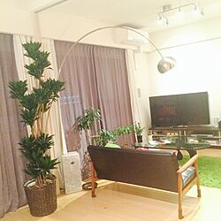 部屋全体/アルコランプ/カリモク60/IKEA/観葉植物...などのインテリア実例 - 2014-05-02 01:57:50