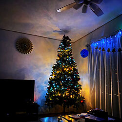 クリスマスツリー/christmas tree/ライトアップ/クリスマス/新築マイホーム...などのインテリア実例 - 2019-12-25 11:09:52