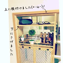 キッチン/多肉棚/手作り棚/プチプラDIY/DIY...などのインテリア実例 - 2017-01-09 21:38:33