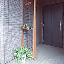 玄関/入り口/DIY/ダイソー/つや消しブラック/観葉植物のインテリア実例 - 2021-05-03 17:13:51