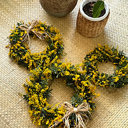 植物のある暮らし/お花のある暮らし/花冠/ミモザリース/ミモザ...などのインテリア実例 - 2024-02-29 00:30:55