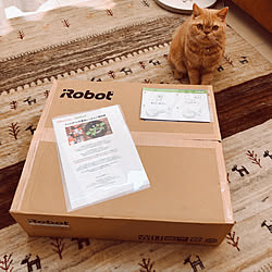 ギャッベ/ルンバ/モニター当選/iRobot HOME アプリ/アイロボット...などのインテリア実例 - 2020-10-01 15:25:50