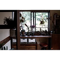 植物/DIY/古道具/足場板/palletのインテリア実例 - 2016-03-31 19:19:20