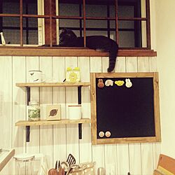 キッチン/カフェ風/北欧/猫/黒板のインテリア実例 - 2016-09-13 22:33:15